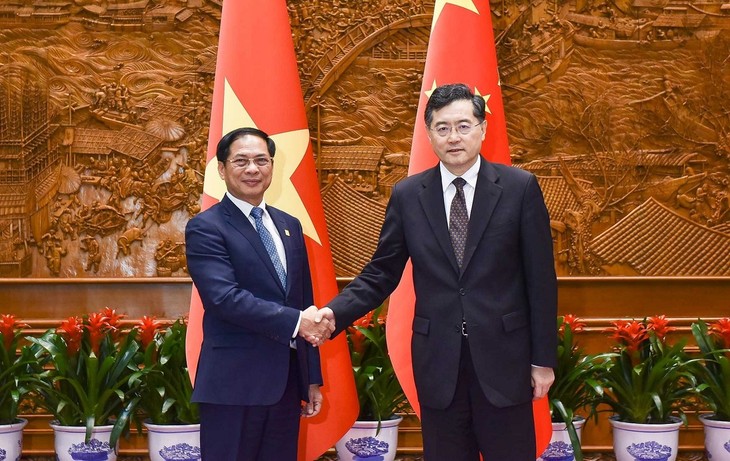 Vietnam Hargai Pengembangan Hubungan Kemitraan Kerja Sama Strategis yang Komprehensif dengan Tiongkok - ảnh 1
