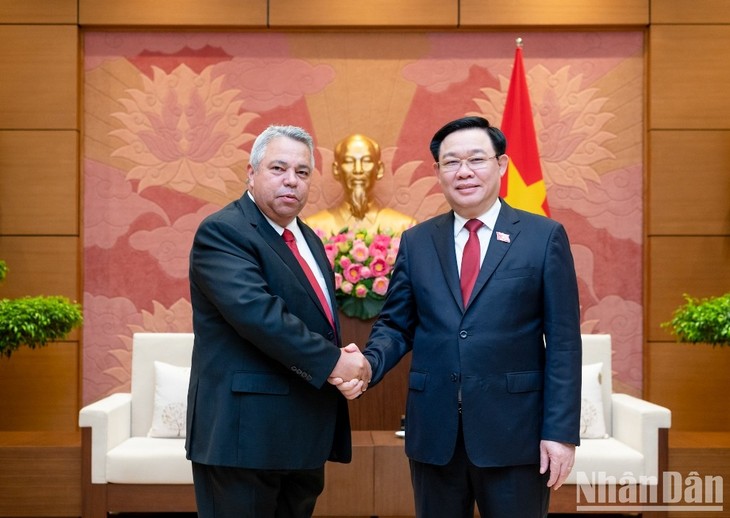 Ketua MN Vietnam, Vuong Dinh Hue Menerima Anggota Polit Biro, Sekjen Pusat Pekerja Kuba - ảnh 1