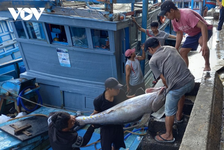 Membantu Mengembangkan Perikanan di Kabupaten Pulau Truong Sa - ảnh 1