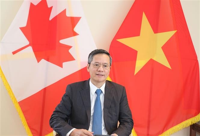 HUT ke-50 Hubungan Vietnam-Kanada: Banyak Ranah bagi Kerja Sama Bilateral - ảnh 1