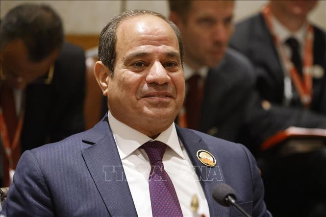 Presiden Mesir Secara Resmi Menyerahkan Dokumen Pencalonan - ảnh 1