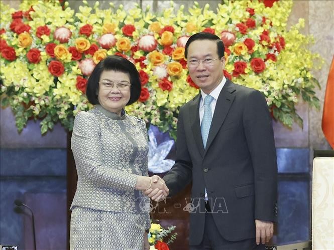 Presiden Vietnam, Vo Van Thuong Menerima Ketua Parlemen Kamboja - ảnh 1