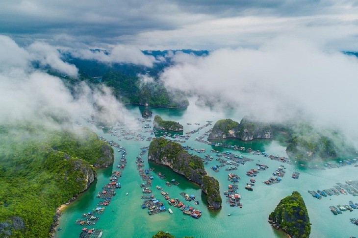 Teluk Ha Long - Kepulauan Cat Ba: Warisan Alam Dunia Antar Provinsi dan Kota yang Pertama di Vietnam - ảnh 2