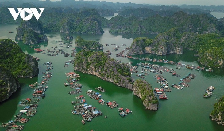 Teluk Ha Long - Kepulauan Cat Ba: Warisan Alam Dunia Antar Provinsi dan Kota yang Pertama di Vietnam - ảnh 4