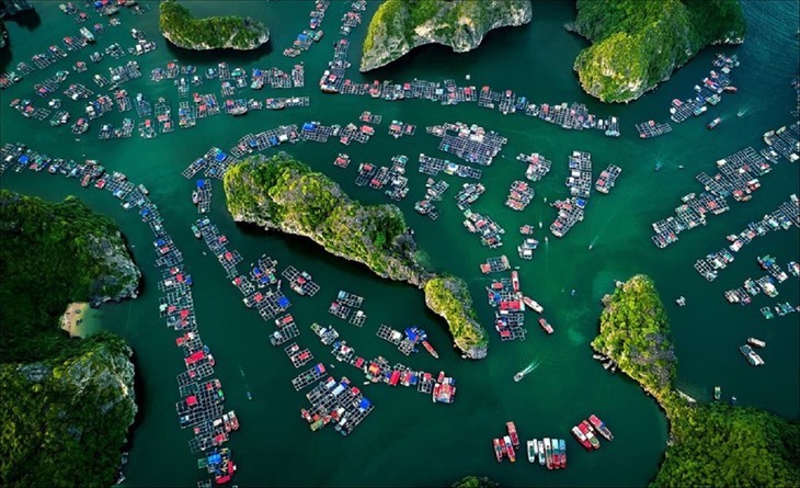 Teluk Ha Long - Kepulauan Cat Ba: Warisan Alam Dunia Antar Provinsi dan Kota yang Pertama di Vietnam - ảnh 7