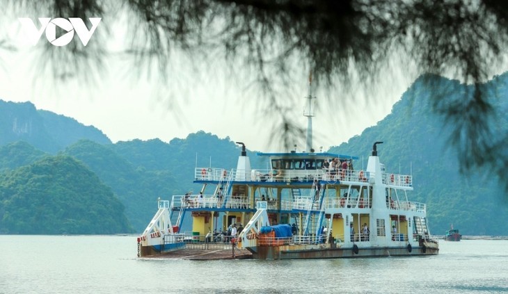 Teluk Ha Long - Kepulauan Cat Ba: Warisan Alam Dunia Antar Provinsi dan Kota yang Pertama di Vietnam - ảnh 9