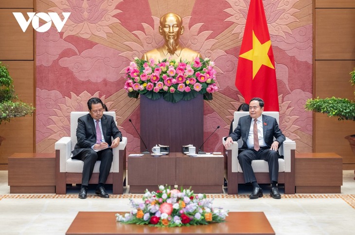 Ketua MN Vietnam, Tran Thanh Man Menerima Wakil Ketua DPD RI Mahyudin - ảnh 2