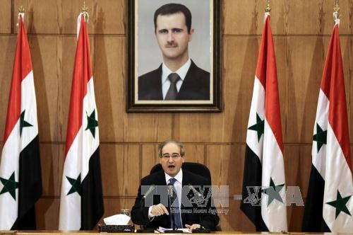 OPCW inspection team to visit Syria - ảnh 1