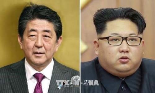 Japan considers summit with North Korea - ảnh 1
