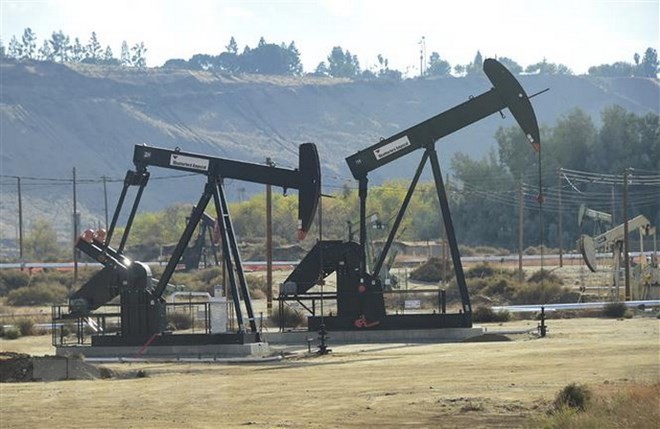 Oil prices hit record one-year low - ảnh 1