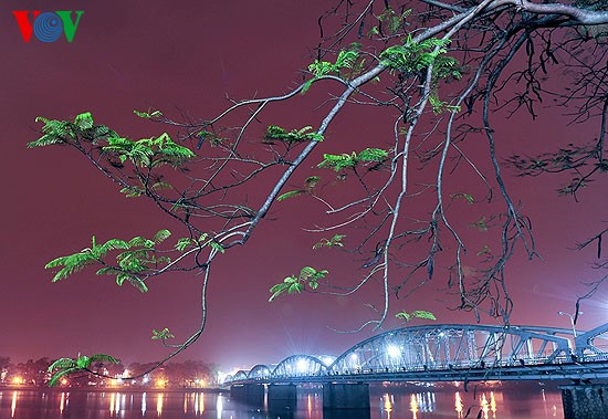 Тихий город Хюэ в ночное время - ảnh 9