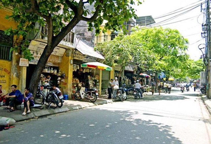 Улица Лан Онг в Ханое, где продают лекарства восточной медицины - ảnh 1