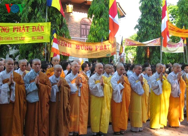 Празднование 2556-ой годовщины со дня рождения Будды в городе Хюэ - ảnh 7