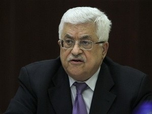 Палестина планирует провести выборы на Западном берегу реки Иордан - ảnh 1