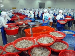 Активизация сотрудничества между Вьетнамом и Россией в сфере рыбного хозяйства - ảnh 1