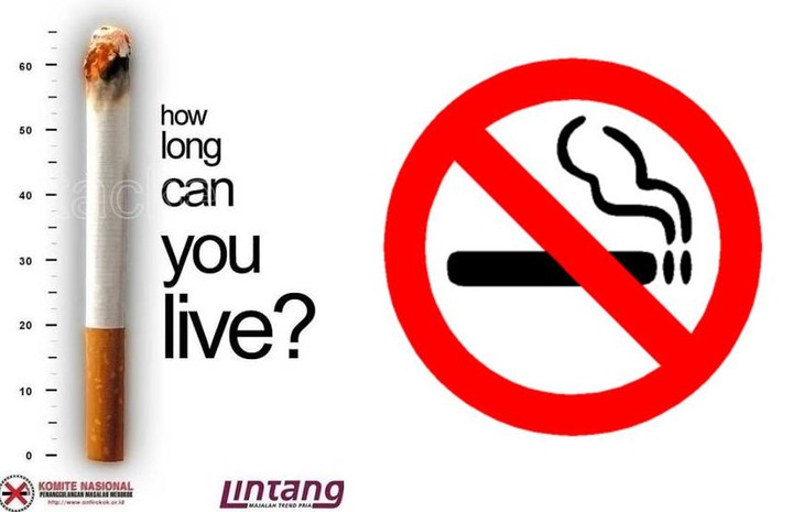 ВОЗ: сигаретный дым может унести жизни одного миллиарда жителей планеты - ảnh 1
