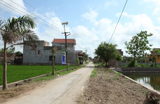 Пропаганда строительства новой деревни в провинции Ниньбинь - ảnh 2