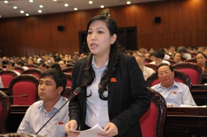 Вьетнамские депутаты обсудили законопроект о налогообложении - ảnh 1