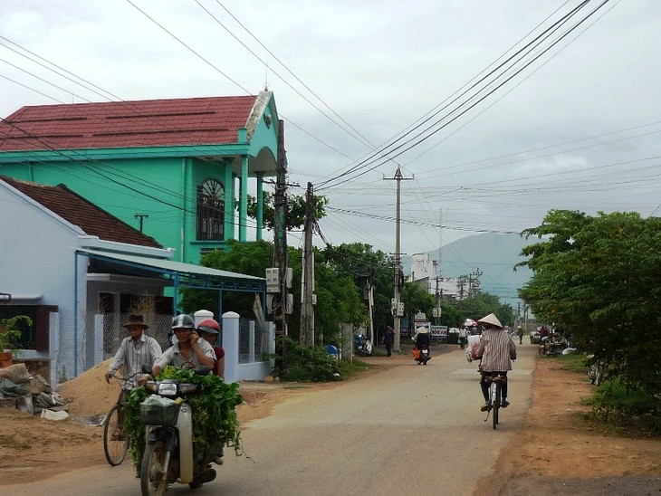 Достижение консенсуса в строительстве новой деревни в провинции Биньдинь - ảnh 2