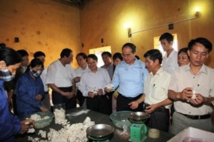 Вице-премьер СРВ Нгуен Тхиен Нян посетил провинцию Ханам - ảnh 1