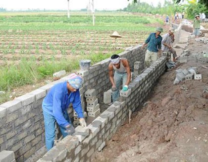 Строительство новой деревни в общине Куиньминь провинции Тхайбинь - ảnh 3