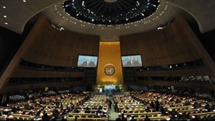 Генассамблея ООН провела чрезвычайную встречу для обсуждения ситуации в Сирии - ảnh 1