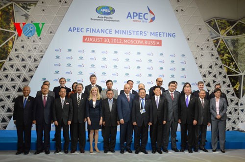 Деятельность вьетнамской делегации на конференции министров финансов стран АТЭС - ảnh 2