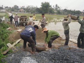 Строительство новой деревни в уезде Тхосуан провинции Тханьхоа - ảnh 1