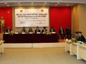Премьер-министр Бангладеш успешно завершила официальный визит во Вьетнам - ảnh 1