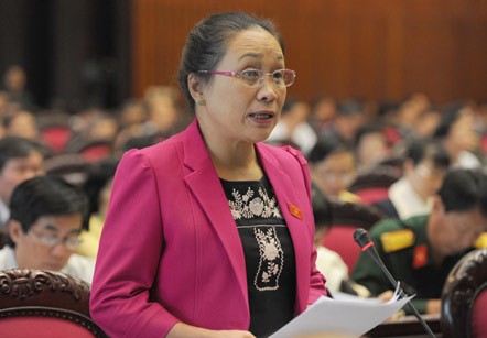 Вьетнамский парламент обсудил проект Закона о земле - ảnh 1