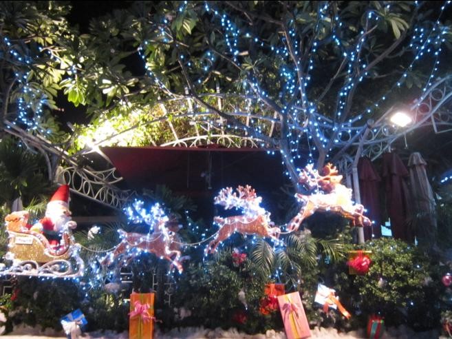 Во вьетнамской столице оживлённо отмечается Рождество Христово - ảnh 1
