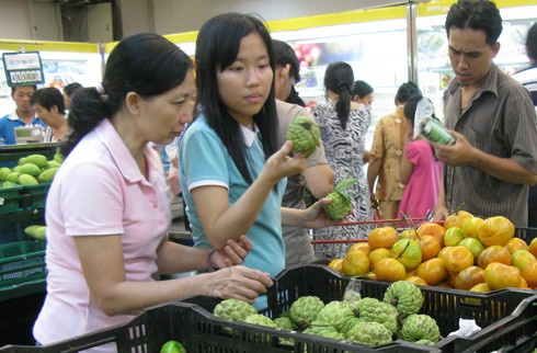В 2013 году во Вьетнаме высокого роста инфляции не будет - ảnh 1