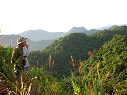 Работа по защите лесов Чыонгшон - ảnh 1
