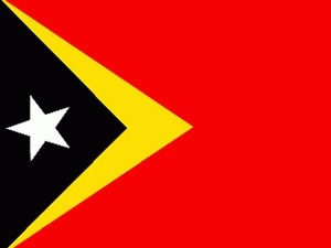 Восточный Тимор активизирует привлечение иностранных инвестиций - ảnh 1