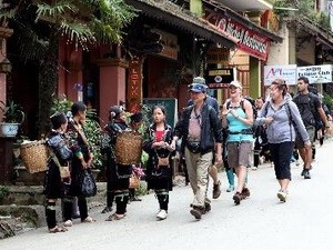 Ратифицирован генеральный план развития вьетнамского туризма на 2020 год - ảnh 1