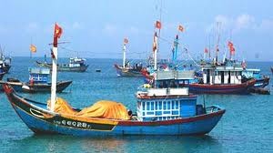 В провинции Куангнгай среди местных рыбаков распространяется Закон о море - ảnh 1
