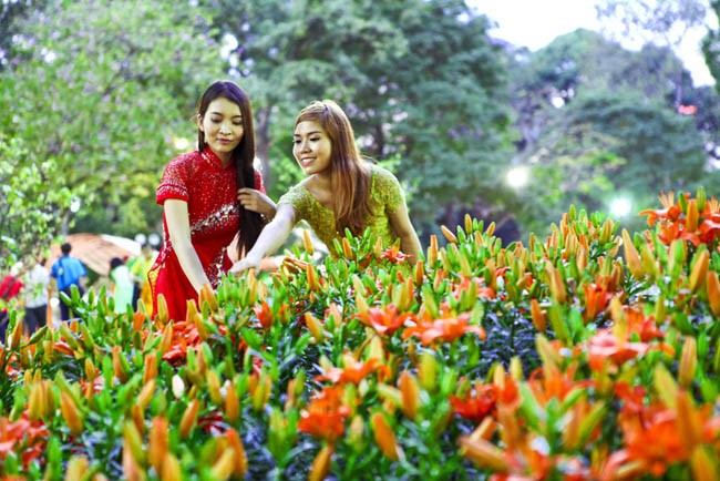 В городе Хошимине открылся праздник весенних цветов - 2013 - ảnh 1
