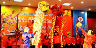 Вьетнамские диаспоры в разных странах провели встречи в связи с Новым годом - ảnh 2