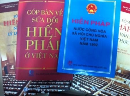 Во Вьетнаме продолжается сбор мнений по проекту исправленной Конституции страны - ảnh 1