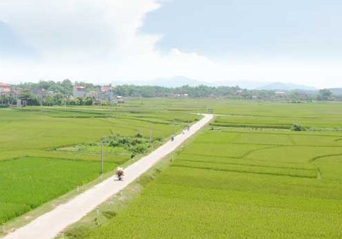 Строительство новой деревни в общине Донгтам провинции Бакзянг - ảnh 3