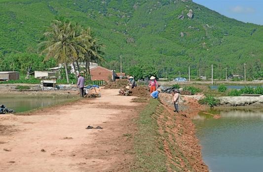Достижение консенсуса населения в строительстве новой деревни в провинции Биньдинь - ảnh 2