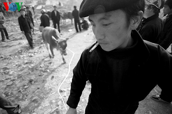 Посещение коровьего базара «Донгван» - ảnh 13