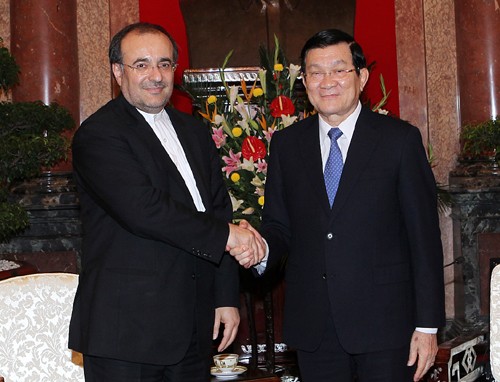 Президент СРВ Чыонг Тан Шанг принял министра промышленности, рудников и торговли Ирана - ảnh 1
