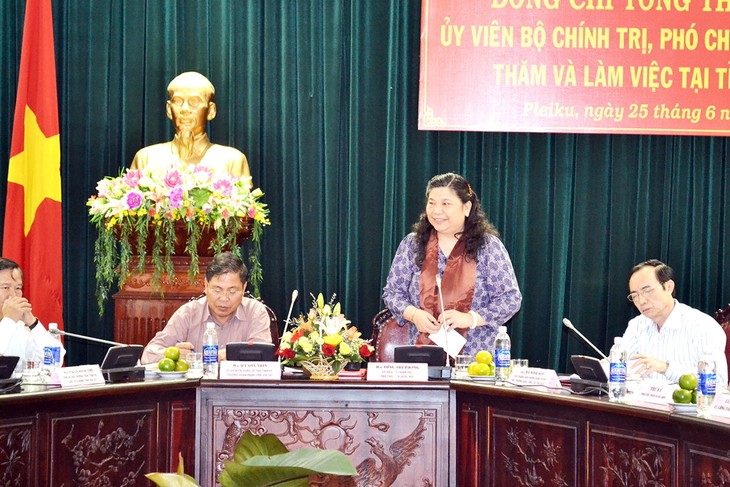 Вице-спикер вьетнамского парламента Тонг Тхи Фонг посетила провинцию Жалай - ảnh 1