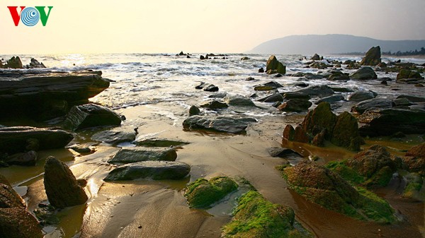 Первобытная красота морского пляжа Хоаньшон - ảnh 5