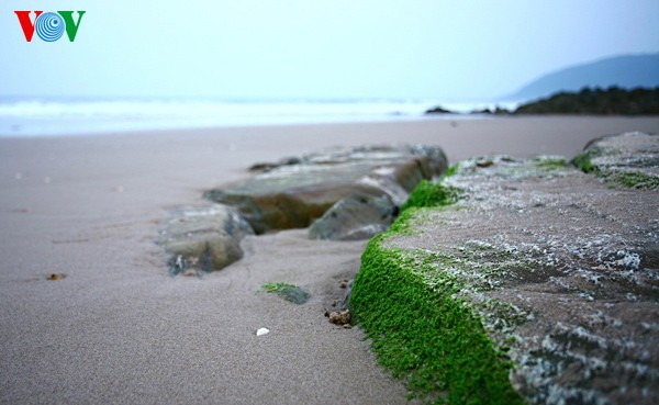Первобытная красота морского пляжа Хоаньшон - ảnh 13