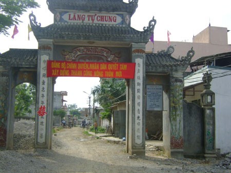Cоюз вьетнамских крестьян играет ключевую роль в строительстве новой деревни - ảnh 3