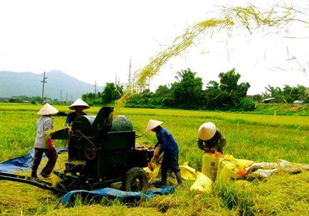 Вьетнамские предприятия участвуют в строительстве новой деревни - ảnh 1