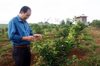 Вьетнамские предприятия участвуют в строительстве новой деревни - ảnh 2