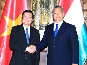 Президент СРВ Чыонг Тан Шанг встретился с руководителями Венгрии - ảnh 1